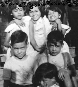 Cristina  Carre&ntilde;o Araya