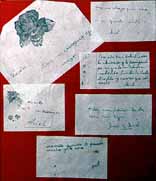 Notas escritas por Ariel para sus padres