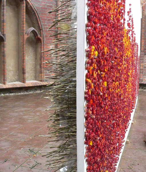 Perfil de la muestra